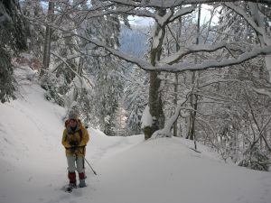 2011-raquette