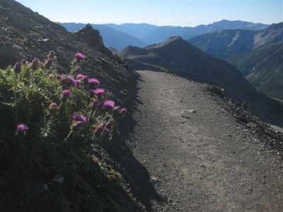 2012-08_bonette