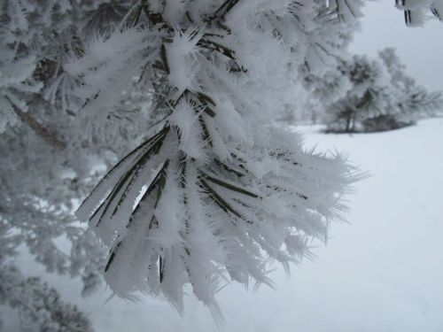 2013-04_forez2