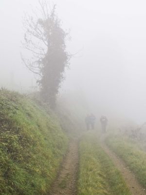 ancy_brouillard
