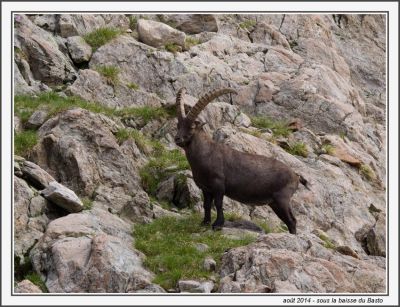 2014-08-23mercantour-8234818