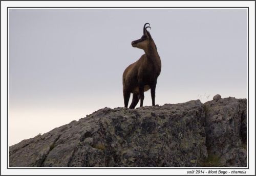 2014-08-24_mercantour-8244876