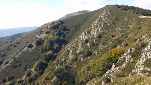 2014-10-01_tanargue2