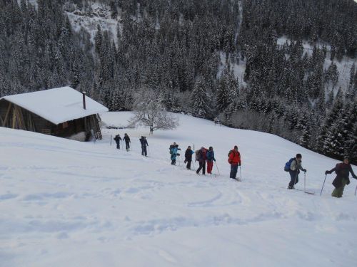 2015-01-25_ski2