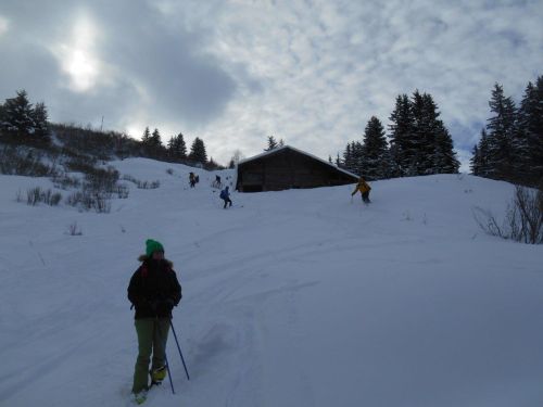 2015-01-25_ski5