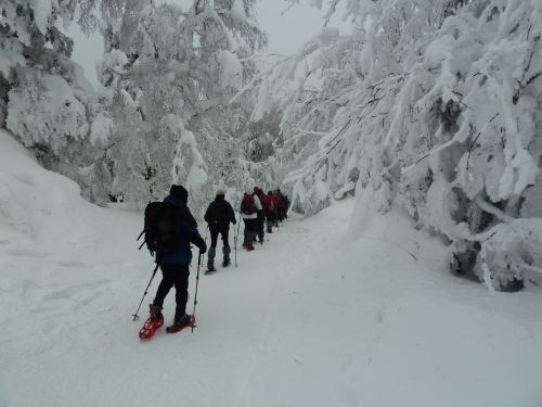 2015-02-08_pilat1