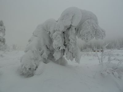 2015-02-08_pilat4