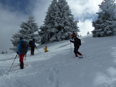 2015-02-28_arg2