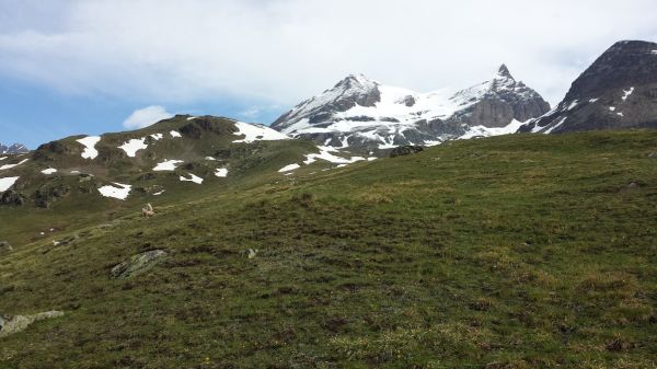2015-06-06_7