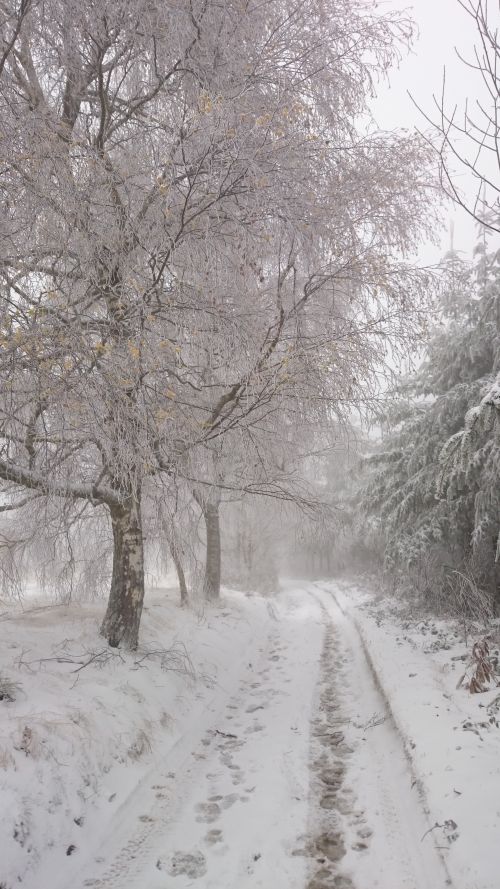 2015-11-22_pin