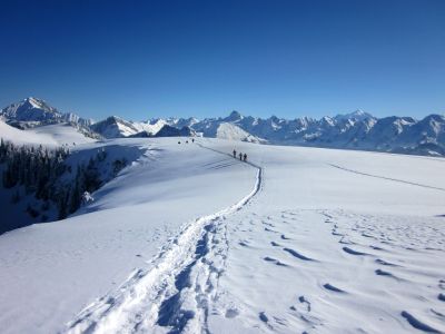 auges.chalets