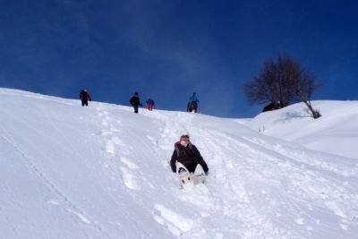 descente73