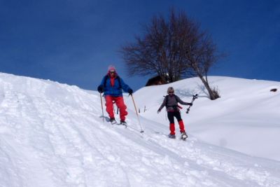 descente8