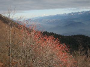 vercors_picsm2